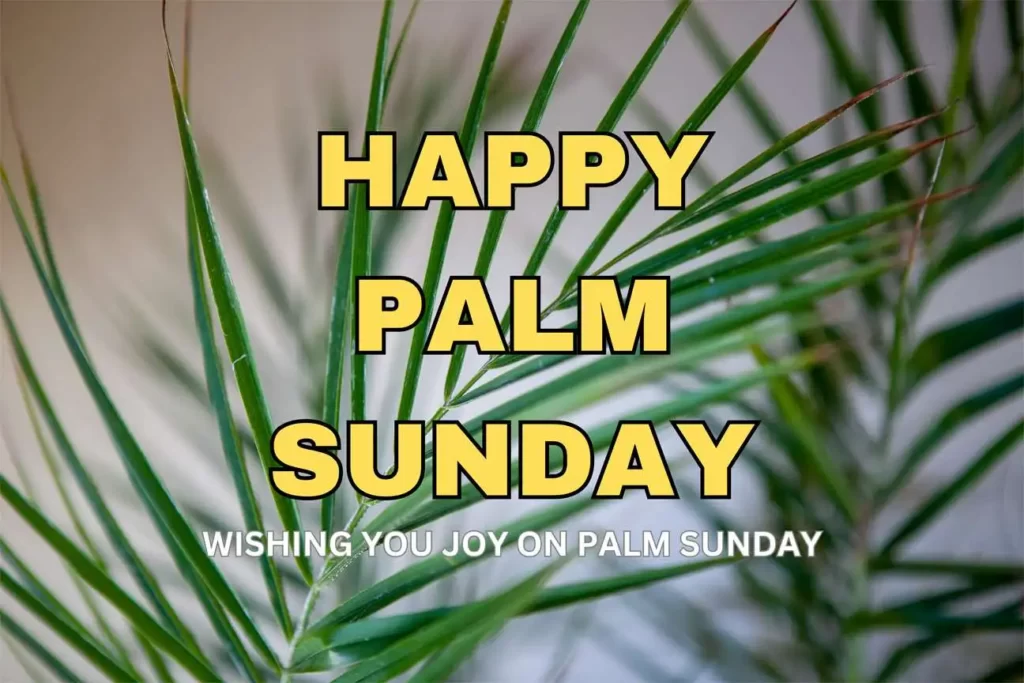 images of palm sunday